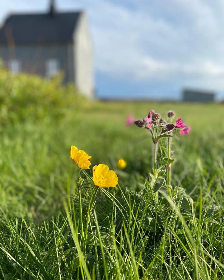 Melar Guesthouse Kópasker Eksteriør bilde